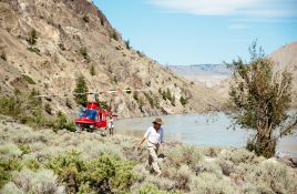 Wilderness Safaris