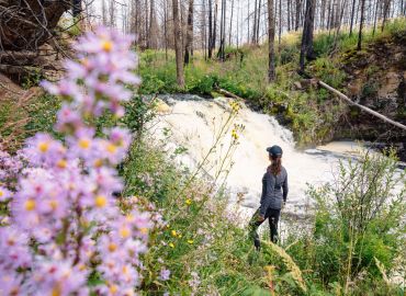 welness at Siwash lake