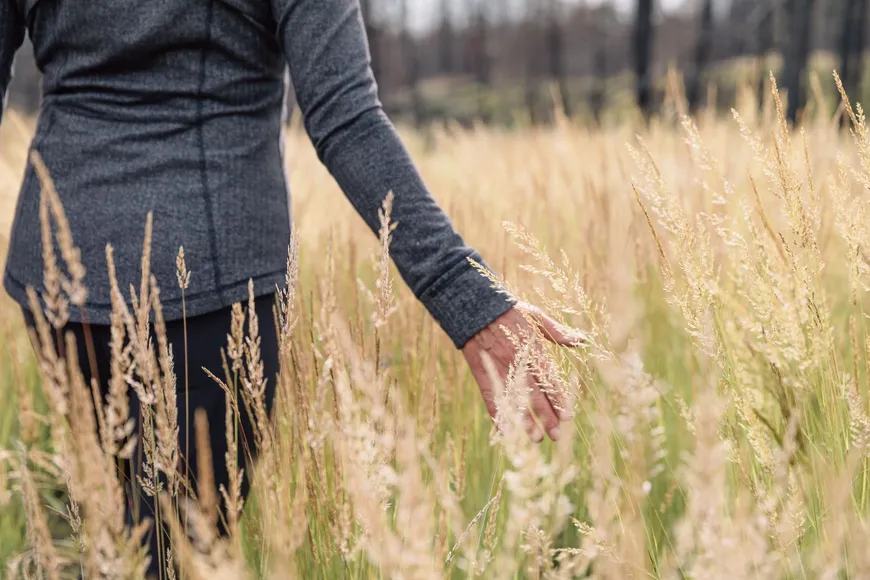 Take a stroll through our grasslands