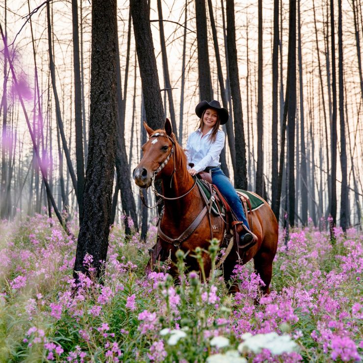 Luxury Horseback Riding Holidays in BC, Canada Siwash Lake Ranch