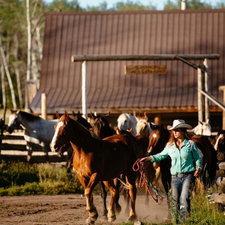 Luxury Horseback Riding Holidays in BC, Canada Siwash Lake Ranch