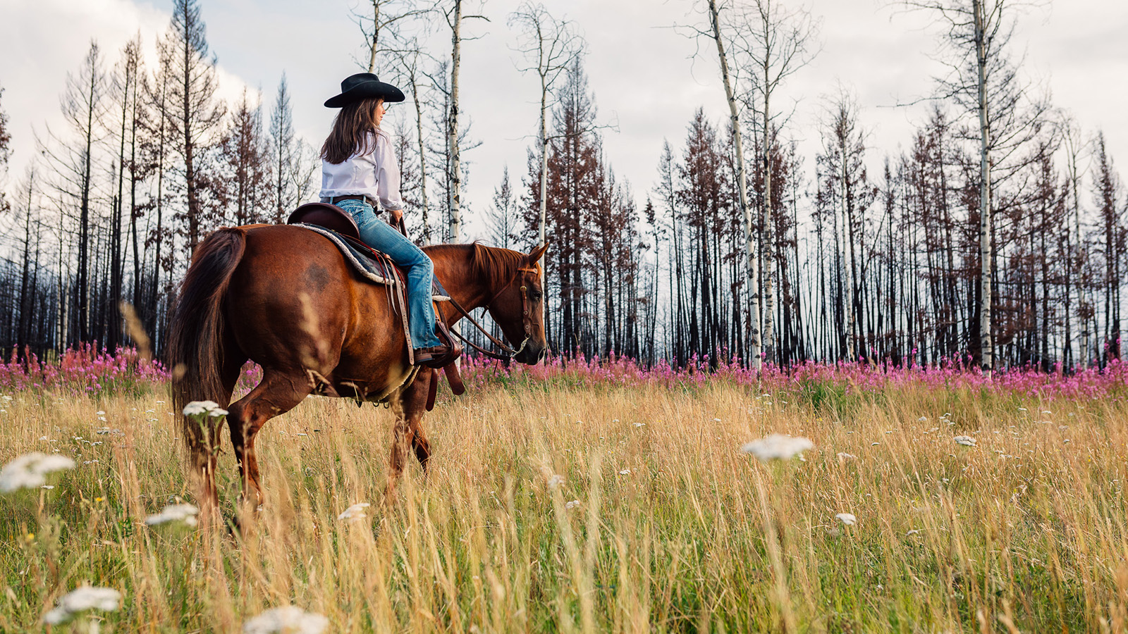 Full day horse riding adventures in the British Columbia wilderness