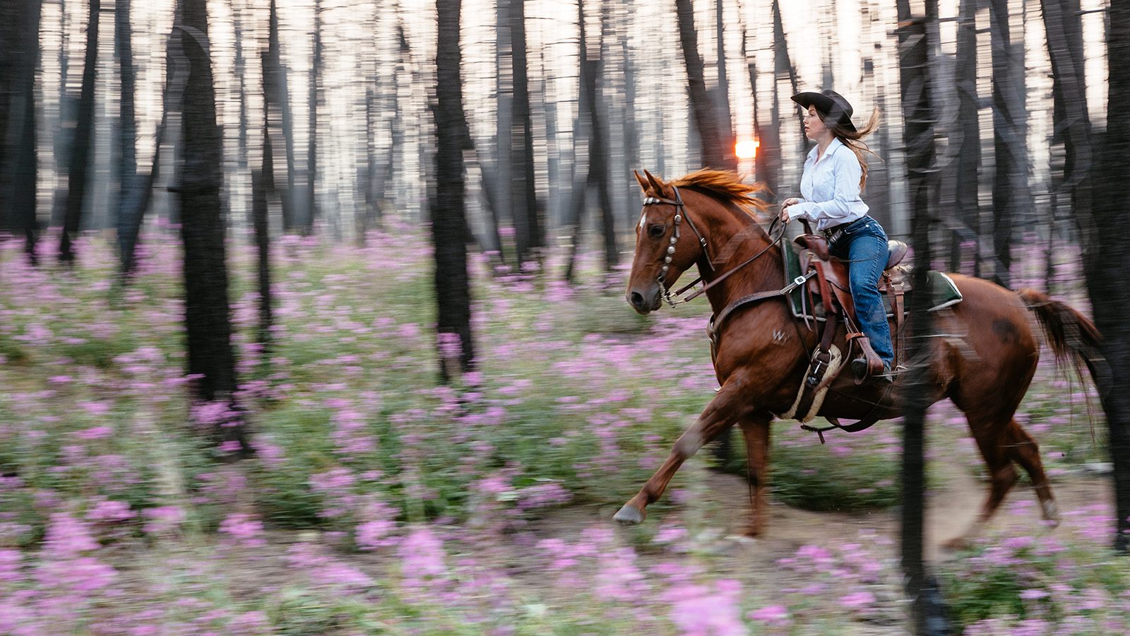 Riding in the Enchanted Forest at Siwash Lake Luxury Ranch